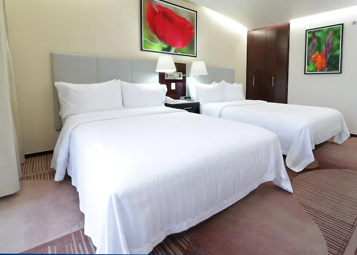 Holiday Inn Hotel & Suites Mexico Medica Sur, An Ihg Hotel
