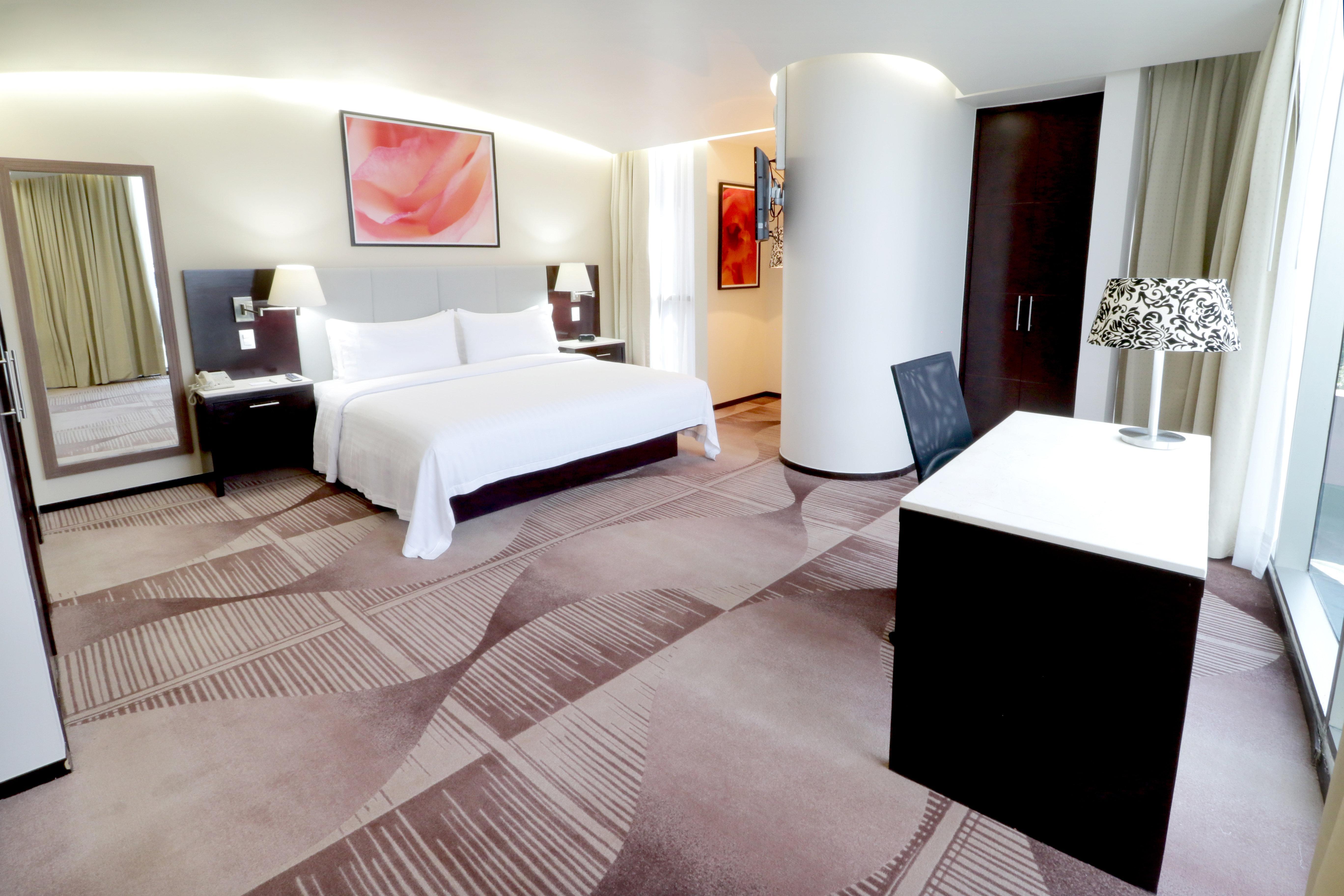 & Medica Sur, An Ihg Hotel Mexico